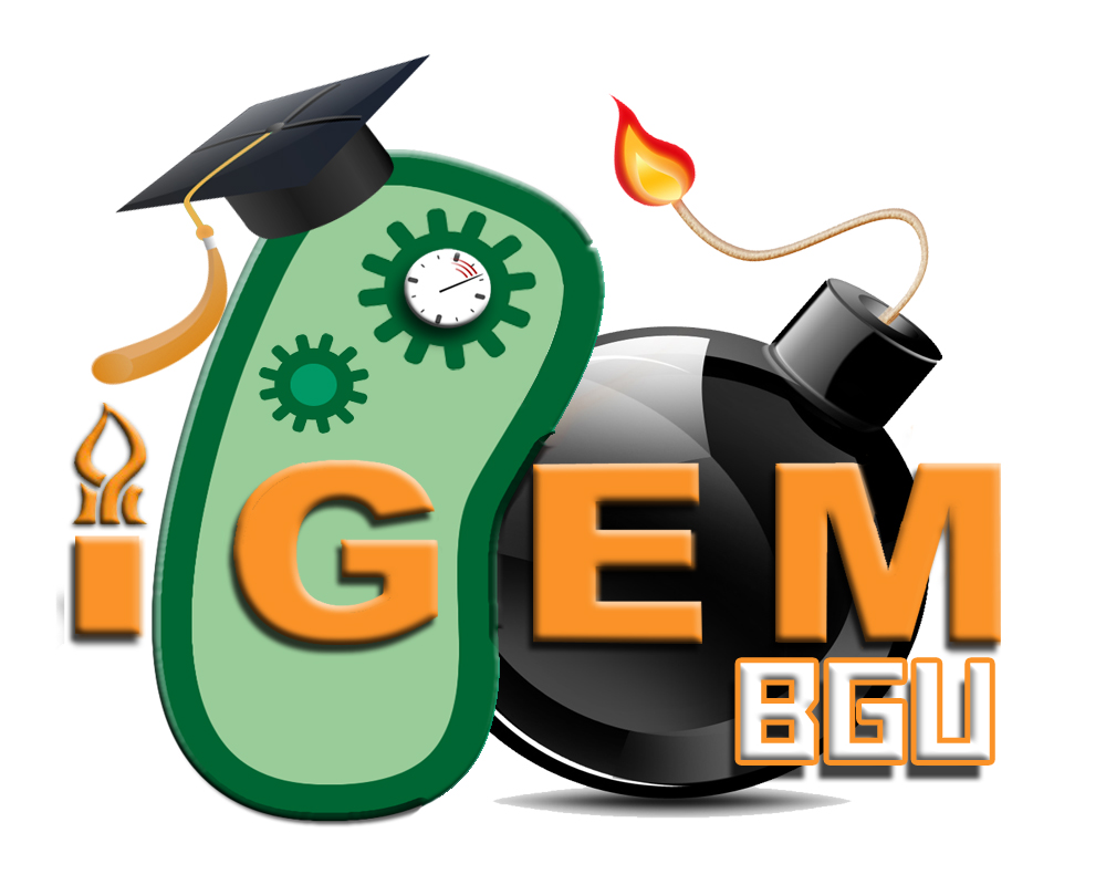 2013-BGU-Logo