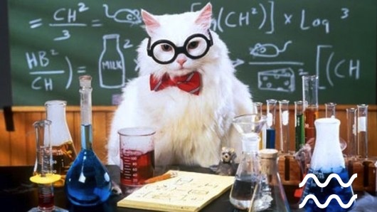 חתלתול מדעי!